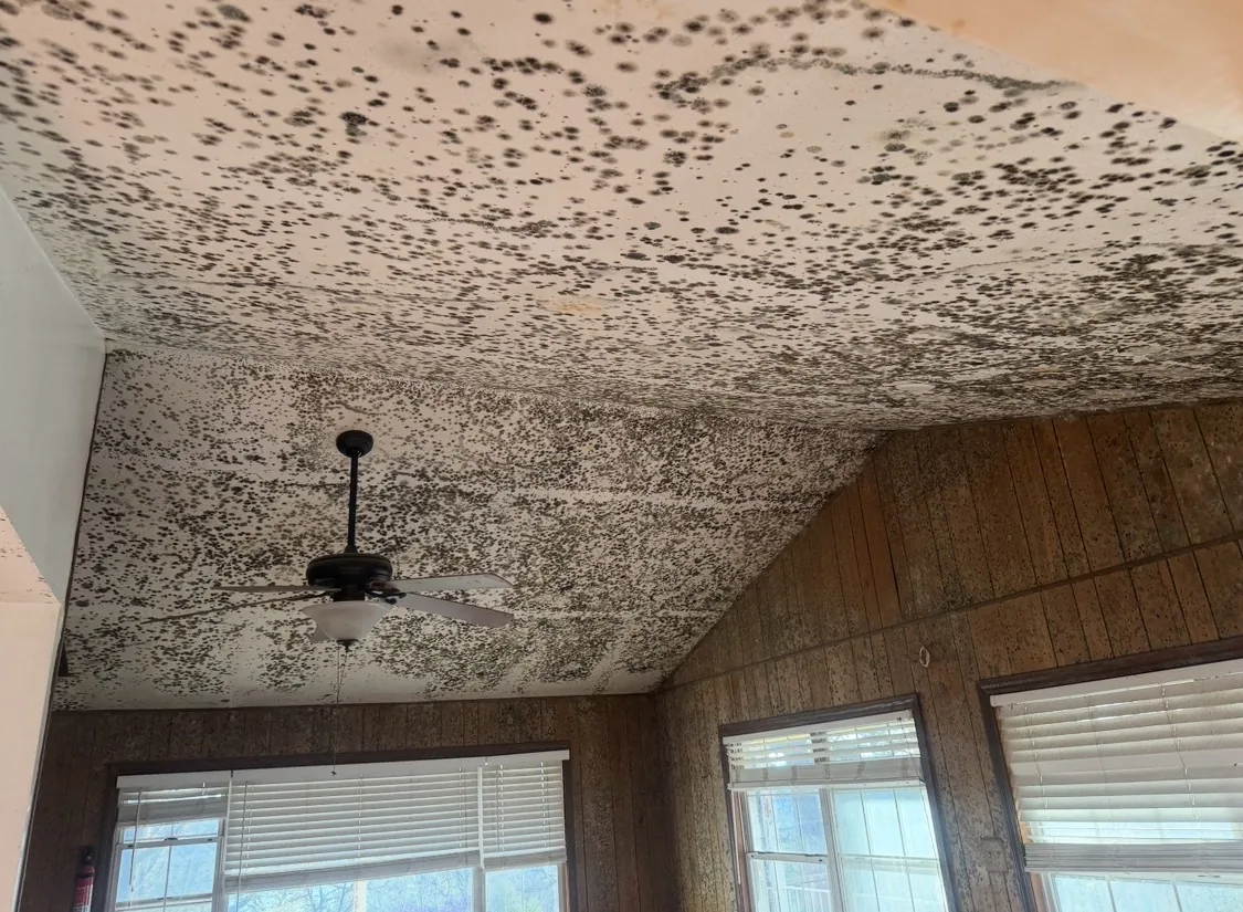 Mold inspection finding
